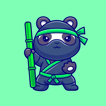 Chief Vision Ninja (CVN)